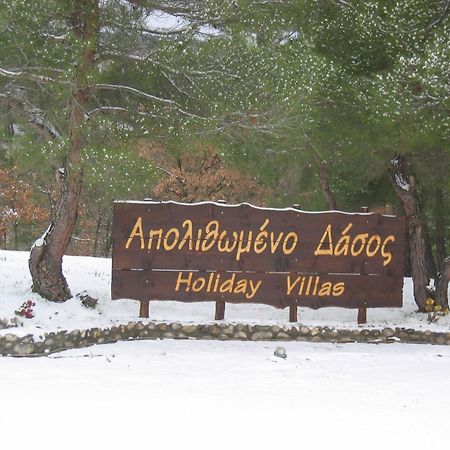 Apolithomeno Dasos Holiday Villas Near Alexandroupolis Lefkimmi  外观 照片