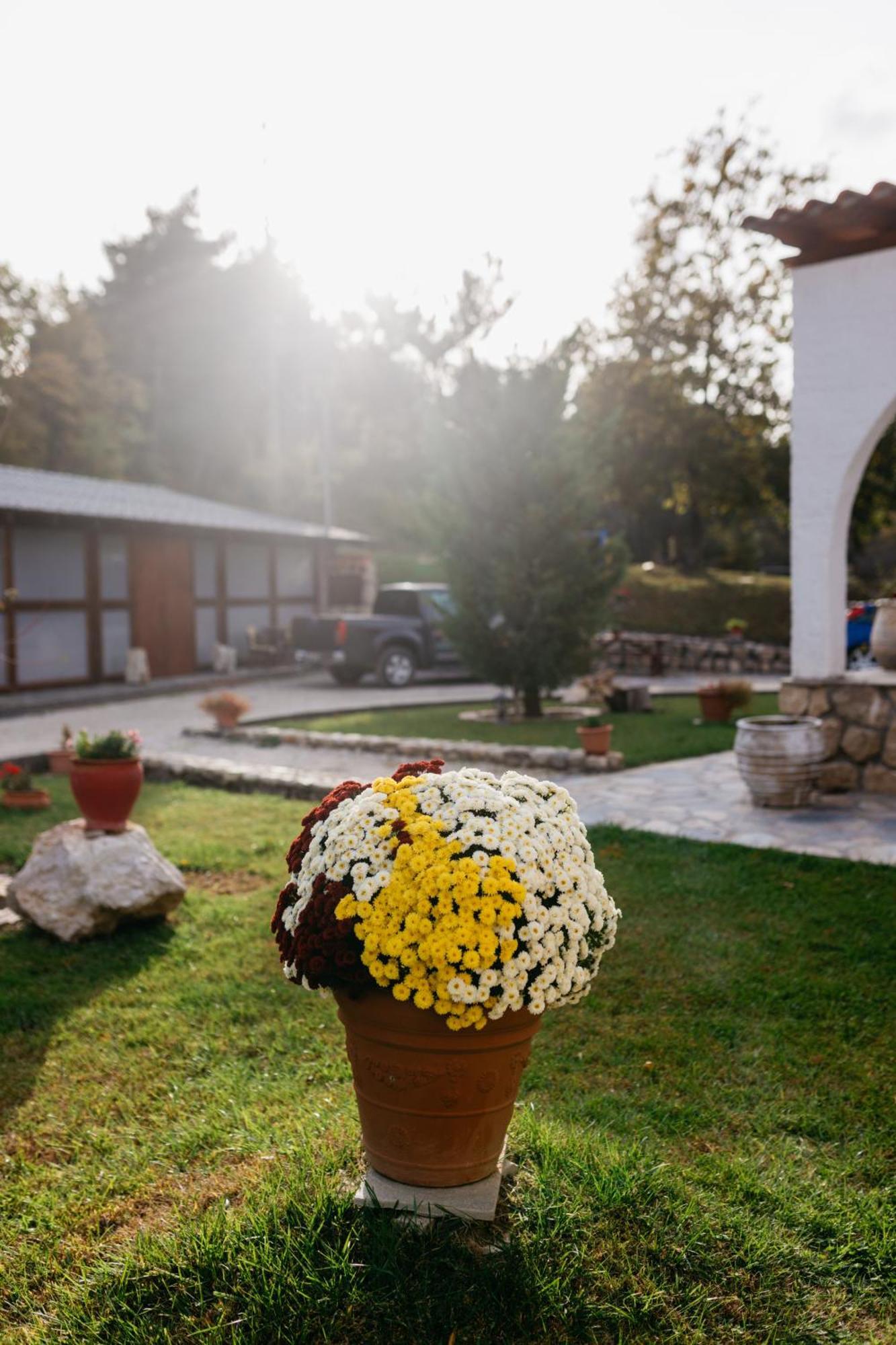 Apolithomeno Dasos Holiday Villas Near Alexandroupolis Lefkimmi  外观 照片
